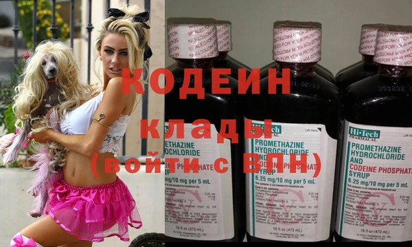 скорость Каменногорск