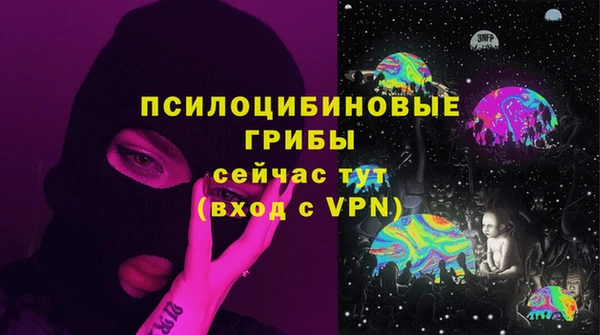 скорость Каменногорск