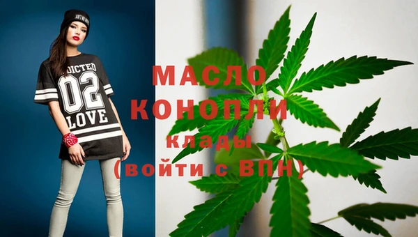 скорость Каменногорск