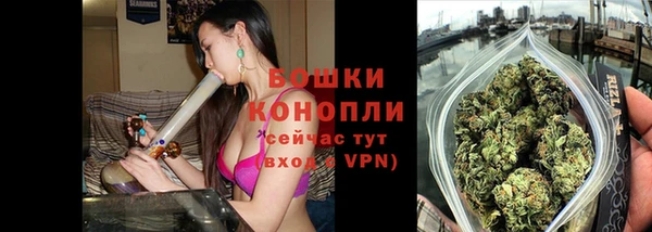 скорость Каменногорск